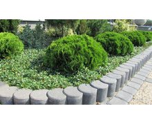 Palisada okrągła - zdjęcie