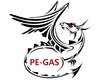 Firma PE-GAS Sp. z o.o. - zdjęcie