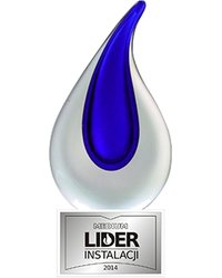 Lider Instalacji 2014 - zdjęcie