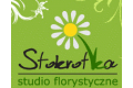 Studio Florystyczne Stokrotka Barbara Słomka