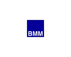 BMM moulds - zdjęcie