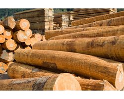 Drewno budowlane - zdjęcie
