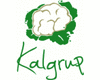 Kalgrup Sp. z o.o. - zdjęcie