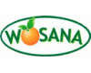WOSANA S.A. Producent soków, napojów, wód źródlanych i mineralnych - zdjęcie