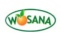WOSANA S.A. Producent soków, napojów, wód źródlanych i mineralnych