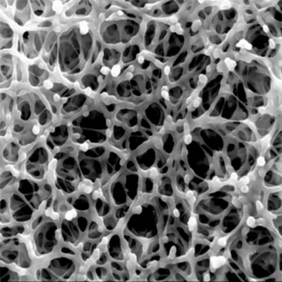 Rys. 2. Zdjęcie membrany pod mikroskopem, w powiększeniu 2000x