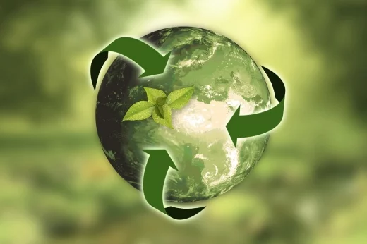 Ekologiczne opakowania w firmie – biznes przyjazny dla środowiska