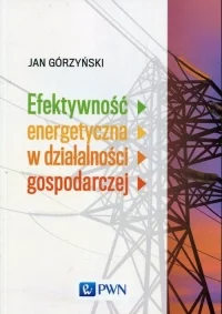 Książka: Efektywność energetyczna w działalności gospodarczej PWN