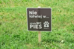 Pierwsza Strefa WC Pies powstała Koźminie Wielkopolskim