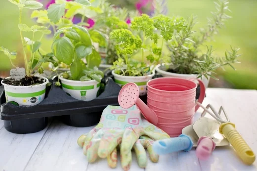 Odpowiednie narzędzia ogrodnicze pozwalają dbać o nieruchomości