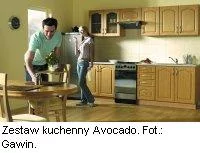 avocado.webp