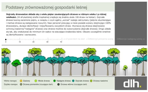 zasady-zrownowazonego-lesnictwa.2.2010-06-23.webp