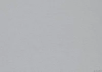 Brama segmentowa Wiśniowski w nowym kolorze Srebrny o wyglądzie szczotkowanego aluminium Fot. WIŚNIOWSKI