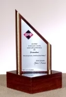 Nagroda dla firmy Domalux   na targach Budma 2013