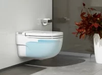 Toaleta Roca
