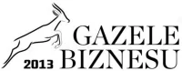 Logo Gazele Biznesu 2013