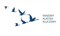 logo Krajowych Klastrów Kluczowych
