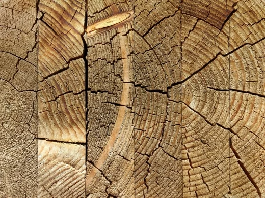 Jakie kleje do drewna wykorzystuje się w przemyśle meblarskim?