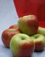 Możliwości eksportu świeżych jabłek z Polski na rynek kanadyjski