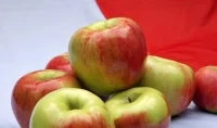Singapur otwiera się na polskie jabłka