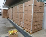 Polskie jabłka w Singapurze