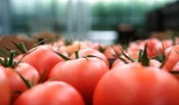 Kolejna transza wycofania owoców i warzyw z rynku - konsultacje