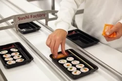 Fabryka Sushi Factory