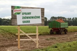 Wojnowice Wlkp Knorr