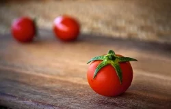 Czerwona bomba witaminowa, czyli wszystko o pomidorach