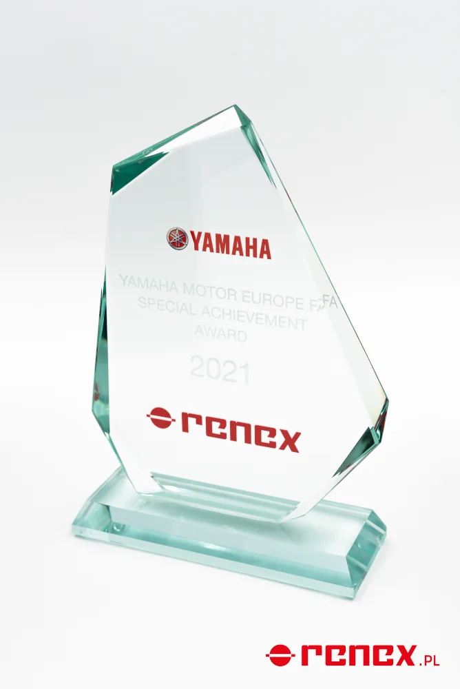 Nagroda za Szczególne Osiągnięcia dla Grupy RENEX