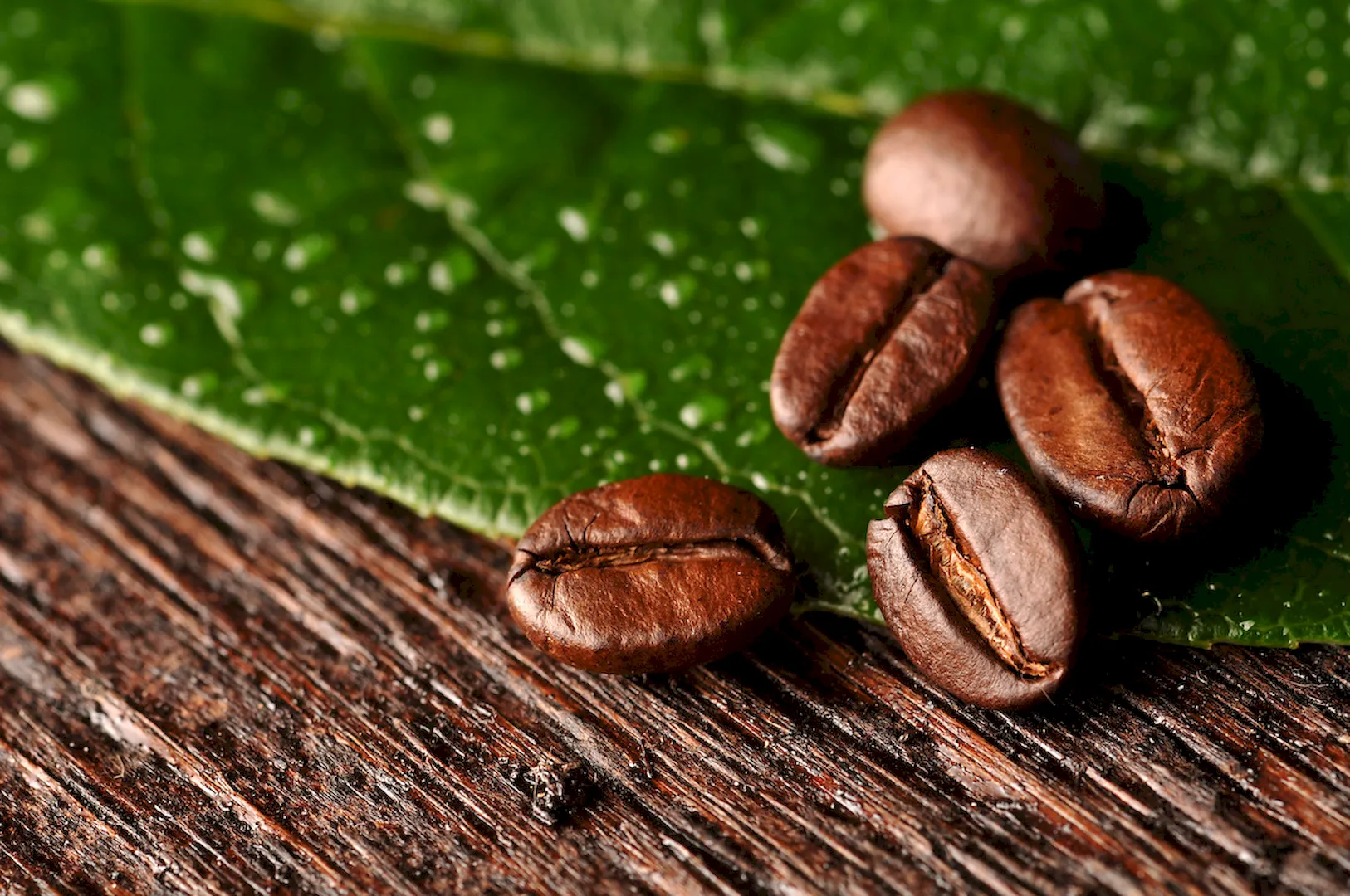 Łuski kawy – ekologiczny kompozyt w przemyśle tworzyw sztucznych