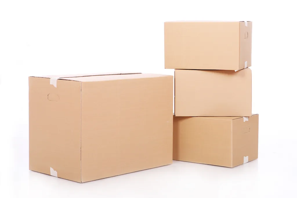 Wszystko, co powinieneś wiedzieć o pudełkach standardowych