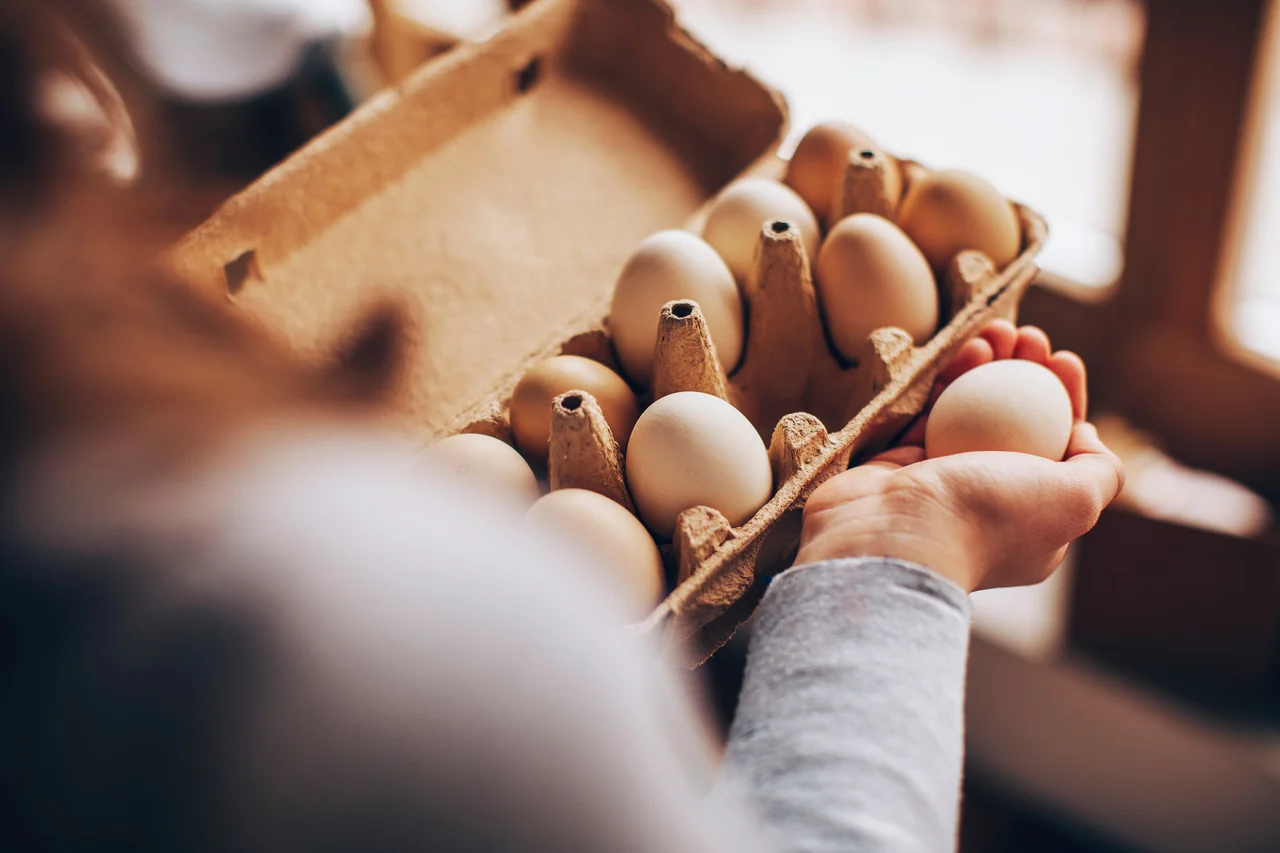 Jak prawidłowo przechowywać jaja