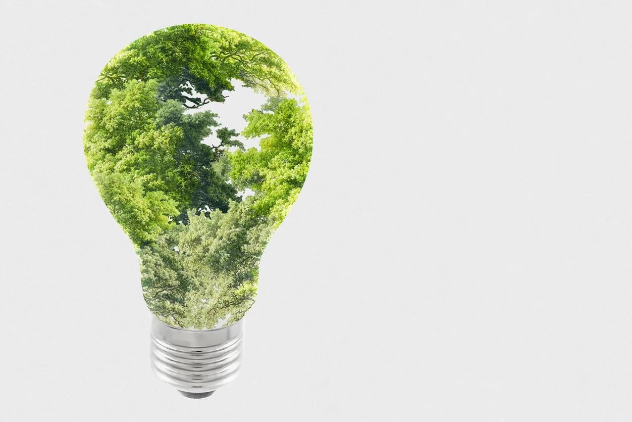 sustainable energy campaign tree light bulb
