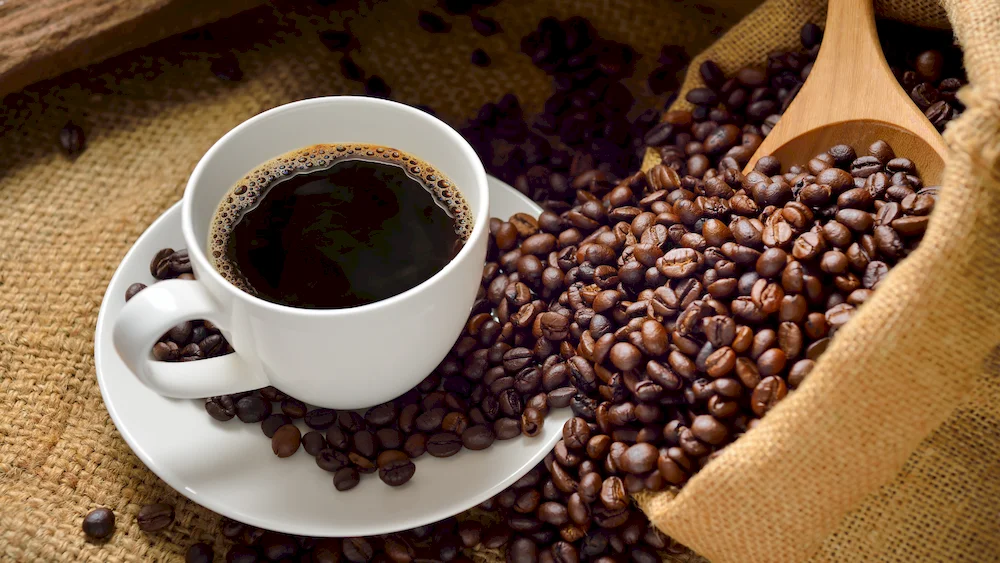 Kawa Segafredo - dlaczego warto ją spróbować?