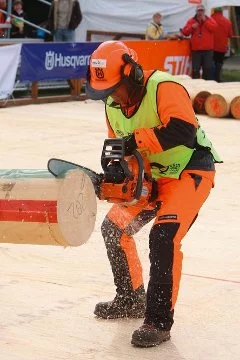 chainsaw_contestant_in_wlc_2008_h885-0327.2574.061010.webp