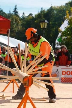 chainsaw_contestant_in_wlc_2008_h885-0328.2575.061010.webp