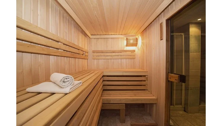 Producent saun