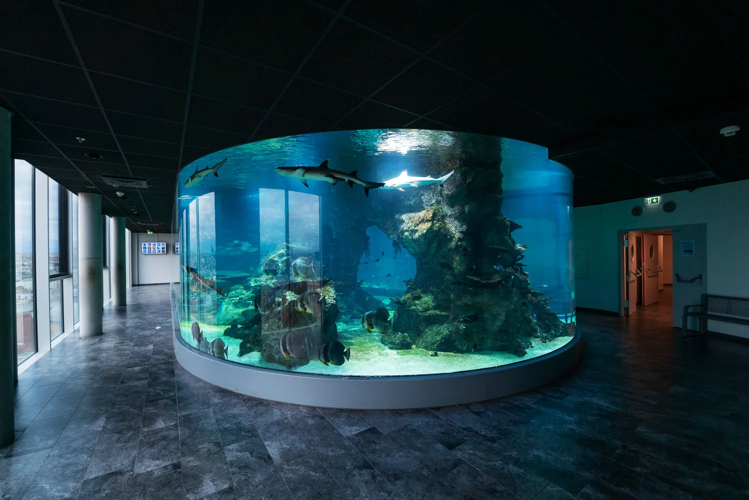 Akwaria namorzynowe, zbiorniki z rekinami i sekcja głębinowa są obecnie ulubionym miejscem dla ponad 14 milionów odwiedzających