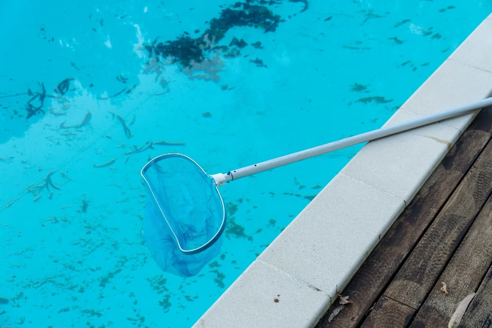 Jak zapobiegać wzrostowi glonów w basenie