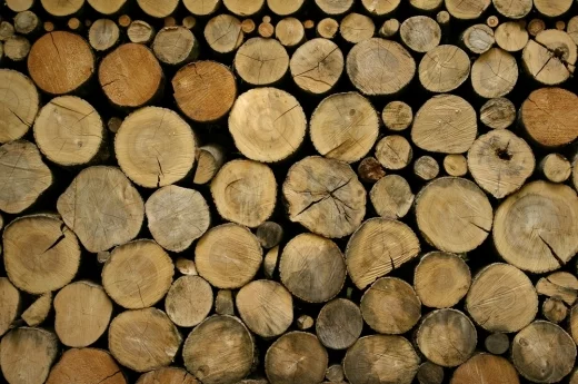 Jak przechowywać drewno na działce?